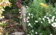 Fairbank House - thumb 26