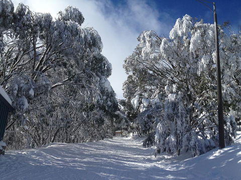 Maisonettes Falls Creek - New South Wales Tourism  17