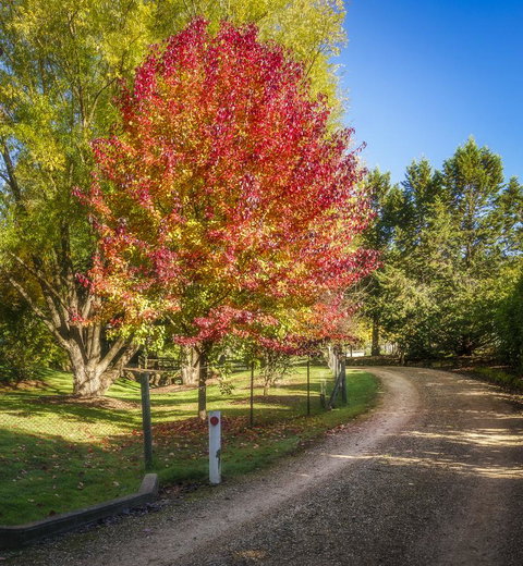 Bright Mystic Valley - New South Wales Tourism  23