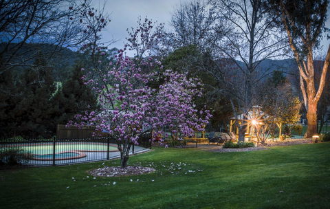 Bright Mystic Valley - New South Wales Tourism  26