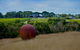 Jettycove Beach House - thumb 27
