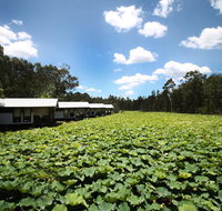 The Boathouses at Leaves  Fishes - New South Wales Tourism 