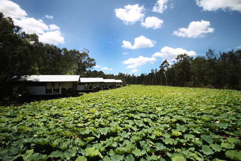 The Boathouses At Leaves & Fishes - New South Wales Tourism  0