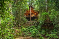 The Canopy Rainforest Treehouses  Wildlife Sanctuary