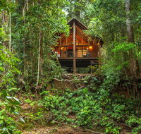 The Canopy Rainforest Treehouses  Wildlife Sanctuary - New South Wales Tourism 