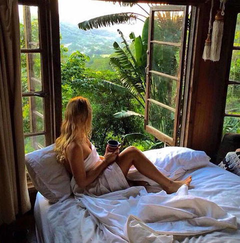 The Den Of The Treehouse, KINABALU Farm - New South Wales Tourism  3
