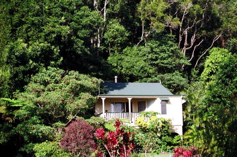 The Falls Montville - New South Wales Tourism  0