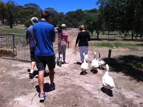 The Farm Willunga - New South Wales Tourism  1
