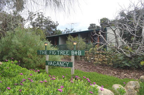 The Fig Tree B&B - New South Wales Tourism  0