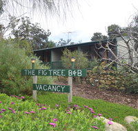 The Fig Tree BB - New South Wales Tourism 