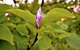 The Glasshouse Boutique Accommodation - thumb 2