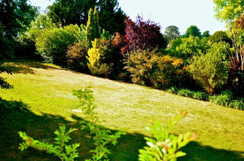 The Glasshouse Boutique Accommodation - New South Wales Tourism  1