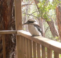 The Ledge Holiday House - New South Wales Tourism 