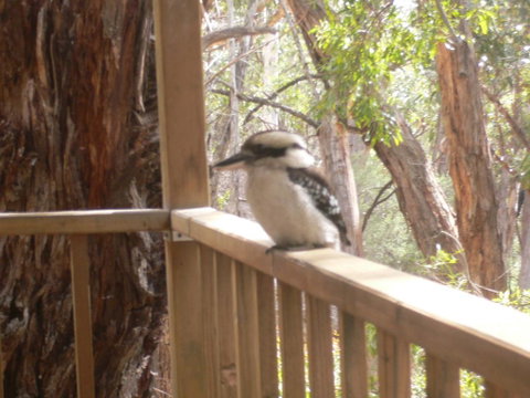 The Ledge Holiday House - New South Wales Tourism  0