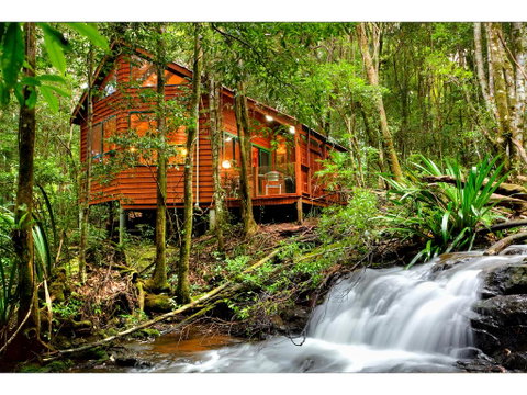 The Mouses House Rainforest Retreat - New South Wales Tourism  0