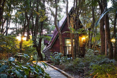 The Mouses House Rainforest Retreat - New South Wales Tourism  1