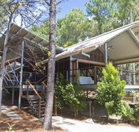 The Pines