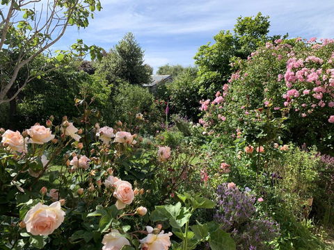 The Racecourse Inn - New South Wales Tourism  2