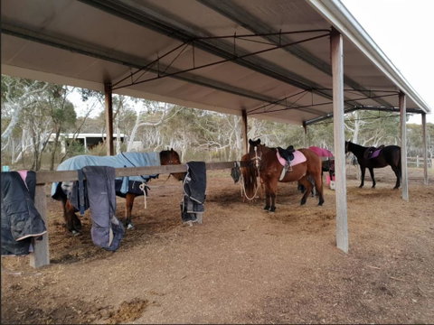 The Saddle Camp Tiny House, Braidwood - New South Wales Tourism  1