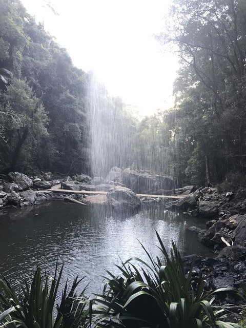The Sanctuary At Springbrook - New South Wales Tourism  3