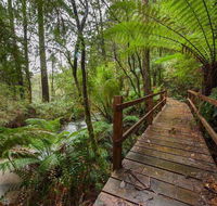 The Source Otways - New South Wales Tourism 