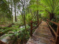 Book Tanybryn Accommodation Vacations New South Wales Tourism New South Wales Tourism 