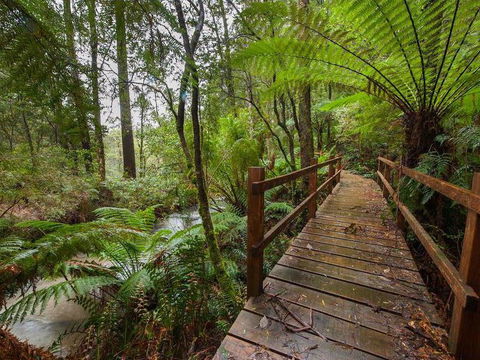 The Source, Otways - New South Wales Tourism  0