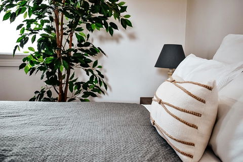 The Spa Cottage - New South Wales Tourism  1