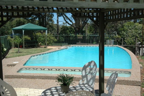 The Tree Motel - New South Wales Tourism  0