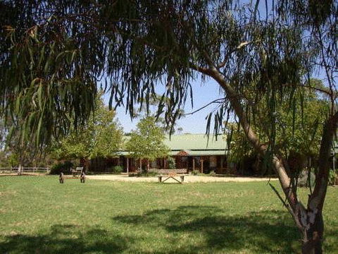 The Vineyard Motel - New South Wales Tourism  0