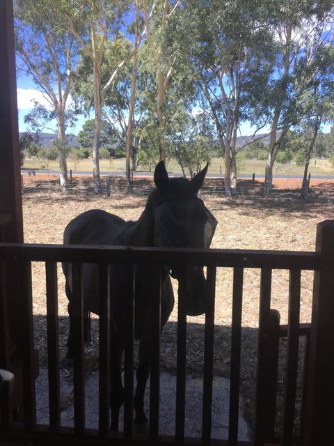 Thie My Chree Retreat - New South Wales Tourism  3