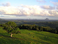 Book Maleny Accommodation Vacations New South Wales Tourism New South Wales Tourism 
