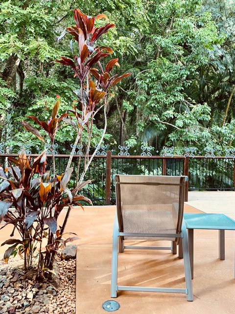 Tranquil Setting In Buderim - New South Wales Tourism  3