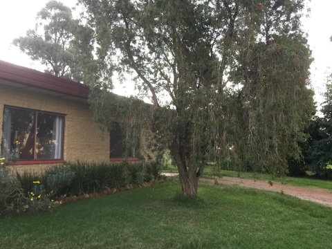 Tree Of Love Farm Stay - New South Wales Tourism  1