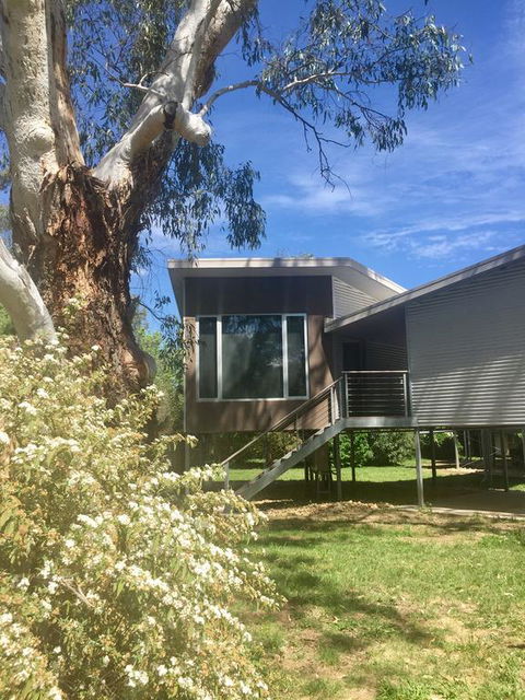 Treehouse Retreat - New South Wales Tourism  3