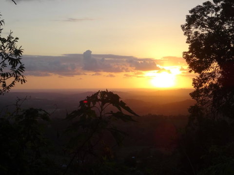 Treetops Montville - New South Wales Tourism  3