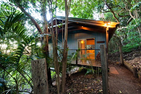 Treetops Seaview Montville - New South Wales Tourism  0