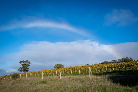 Triple Creek Guest House - Barossa Region - New South Wales Tourism  2
