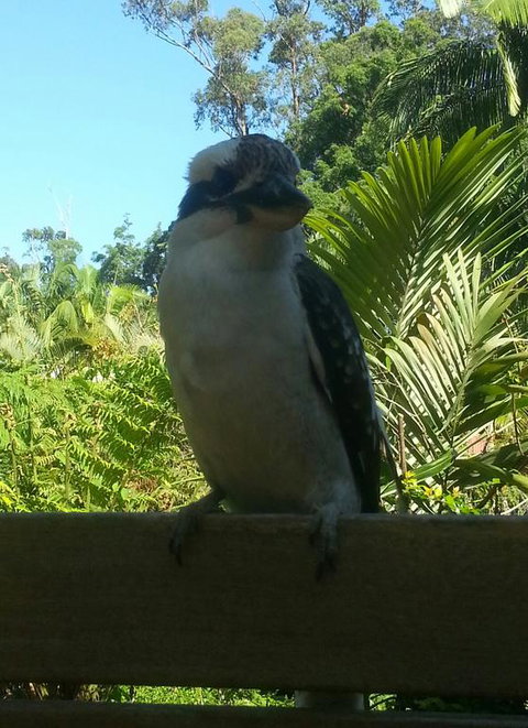 Tropic Oasis - New South Wales Tourism  3