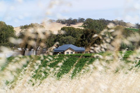 Triple Creek Guest House - Barossa Region - New South Wales Tourism  0