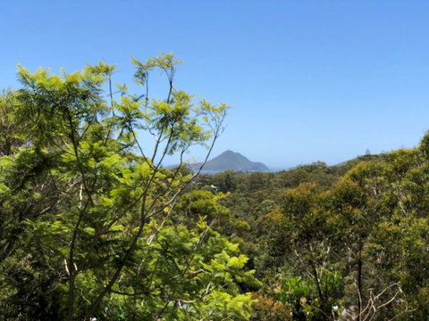 Ullora Road 38 - New South Wales Tourism  2