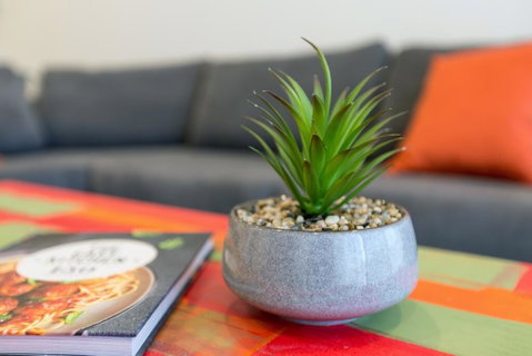 Urban Jungle! Executive Apartment In Heart Of CBD - New South Wales Tourism  1