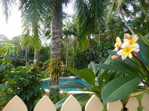 Villa Marine Holiday Apartments Cairns - New South Wales Tourism  1