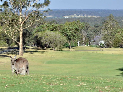 Villas Treinta (Sleeps 30) Resort Condos Located Within Cypress Lakes Resort (nothing Is More Central) - New South Wales Tourism  0