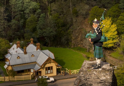 Walhalla Wild Cherry - New South Wales Tourism  2