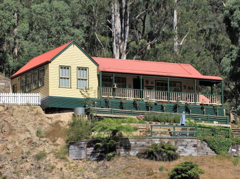 Walhalla Wild Cherry - New South Wales Tourism  0