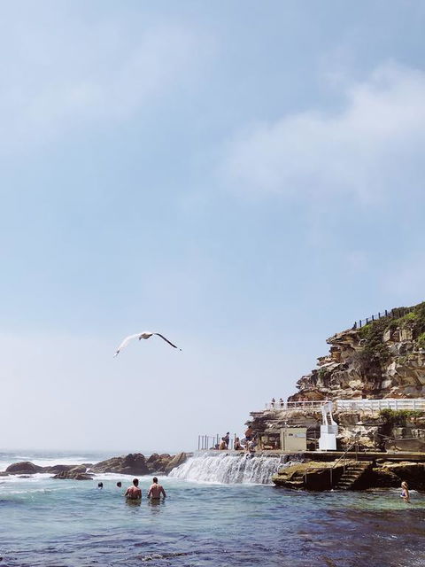 Walk To Beach From This Stylish Bronte Oasis W AC, Wifi And Free Parking - New South Wales Tourism  3