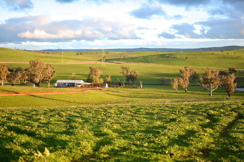 Wantana Cottage Farmstay - New South Wales Tourism  0