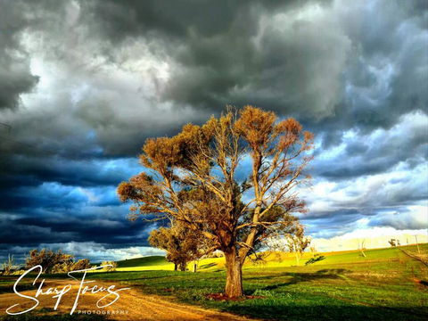 Wantana Cottage Farmstay - New South Wales Tourism  2