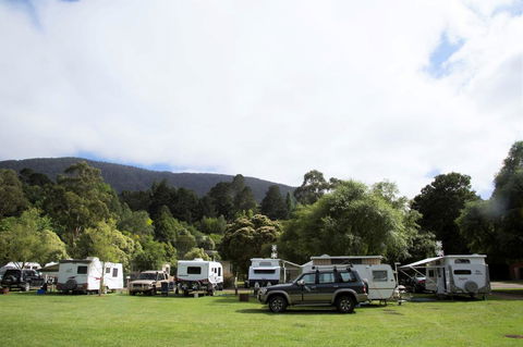 Warburton Holiday Park - New South Wales Tourism  0